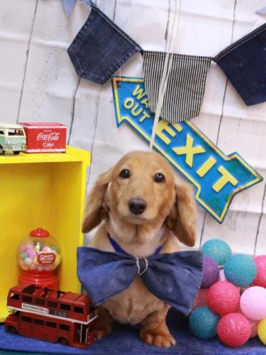 20230407レオンくん